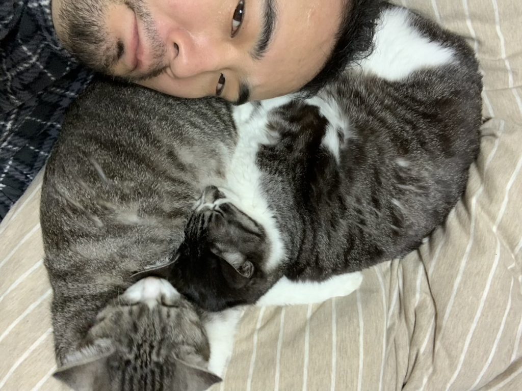 ふたさまと猫たち（こはだ＆つむじ）